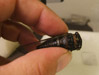 Start with a fresh cicada for pinning.