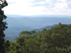 View attop Shenandoah Mountain