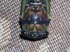 Female T. lyricen cicada
