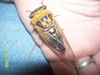 Adult tibicen pronotalis cicada